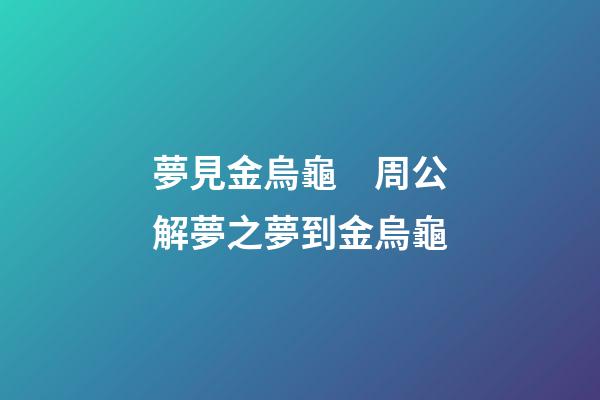 夢見金烏龜　周公解夢之夢到金烏龜